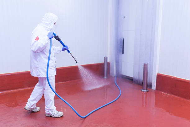 Best Pre-Holiday Cleaning  in Riddle, OR