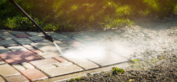 Best Driveway Pressure Washing  in Riddle, OR