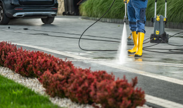 Best Pool Deck Cleaning  in Riddle, OR